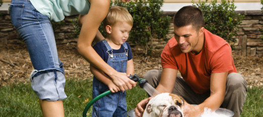 Make Bathing your Dog an Easy Task