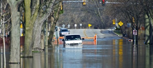 Your Pet’s Natural Disaster Plan