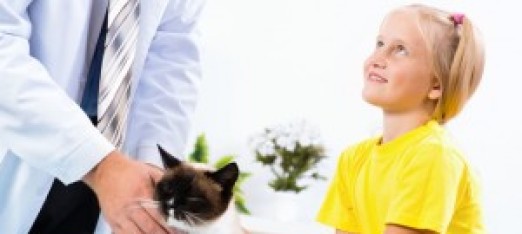 How to Reduce your Pet’s Risk of Cancer