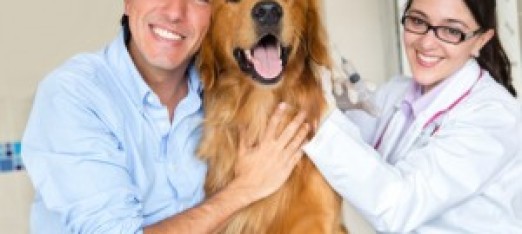 An Imperative Vaccine for your Pet’s Health